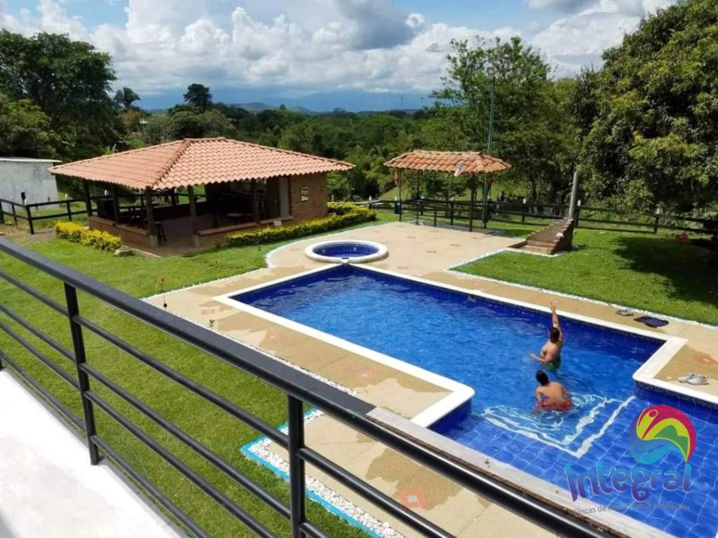 9113 Pereira